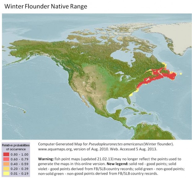 Winter flounder native range