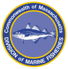 Massachusetts Division of Marine Fisheries Logo