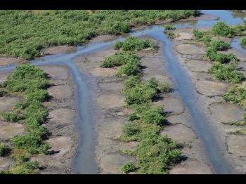 Site view from a Volusia County Mosquito Control helicopter