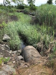 concrete culvert