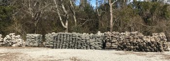oyster shell bags on the beach